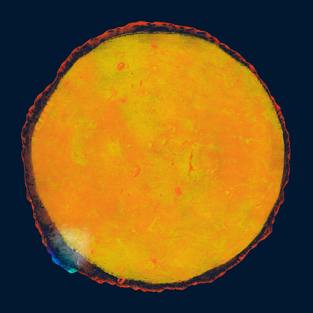 Gold — Amberstones Gold من مشروع Amberstones للفنان TOTTO — عمل فني معاصر يستكشف العملات والمواد والزمن والتحوّل.